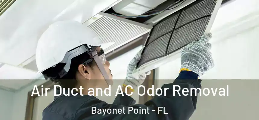 Air Duct and AC Odor Removal Bayonet Point - FL