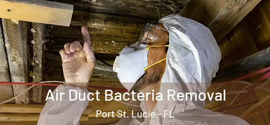  Air Duct Bacteria Removal Port St. Lucie - FL