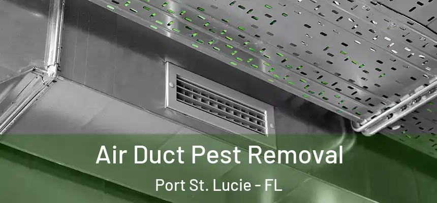 Air Duct Pest Removal Port St. Lucie - FL
