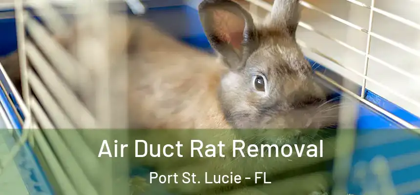  Air Duct Rat Removal Port St. Lucie - FL