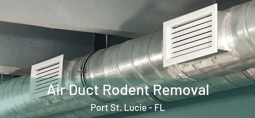  Air Duct Rodent Removal Port St. Lucie - FL
