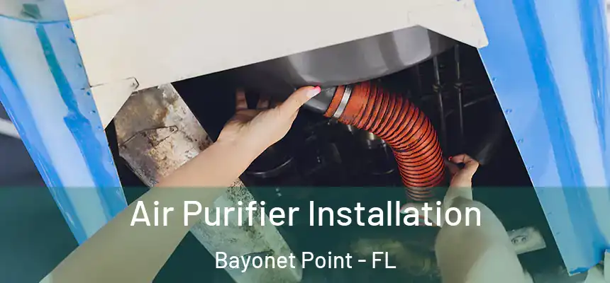 Air Purifier Installation Bayonet Point - FL