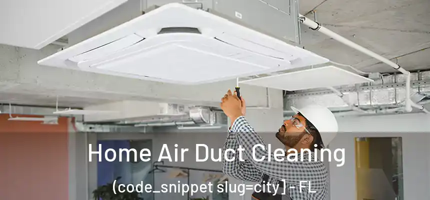  Home Air Duct Cleaning (code_snippet slug=city] - FL