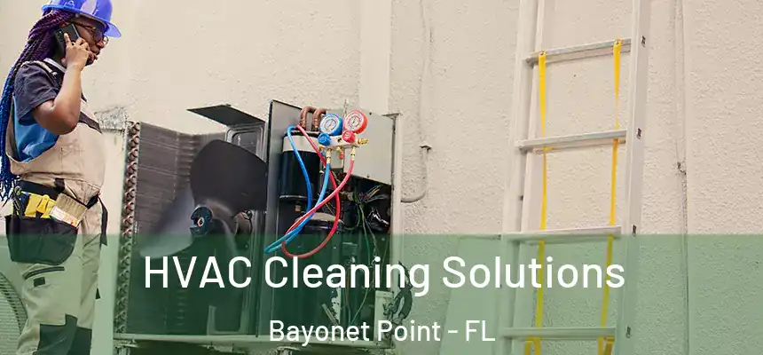 HVAC Cleaning Solutions Bayonet Point - FL