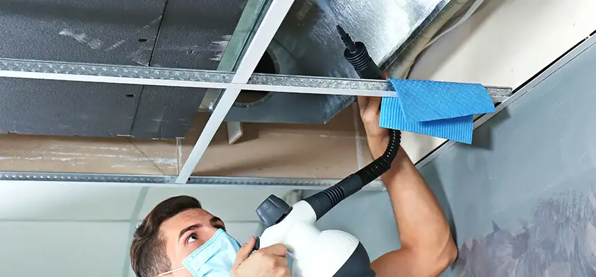 Our Air Duct Rodent Removal Services in Bayonet Point, FL