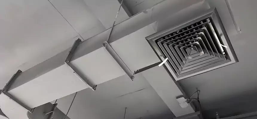 Restorative Allergy Relief Vent Cleaning – Coil, Blower & Housing Detail in Port St. Lucie