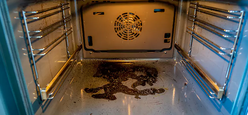 Our Dryer Vent Mold Cleaning Services in Bayonet Point, FL