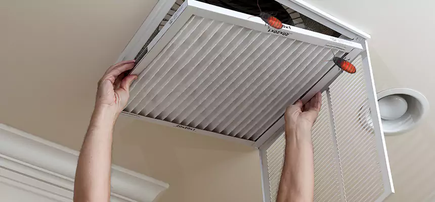 Our Insect Removal from Air Ducts Services in Bayonet Point, FL