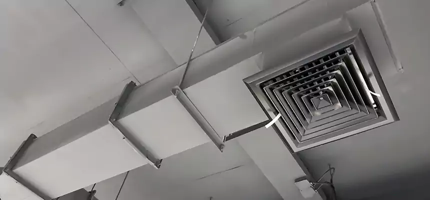 Our Rodent Droppings In Vents Services in Port St. Lucie, FL