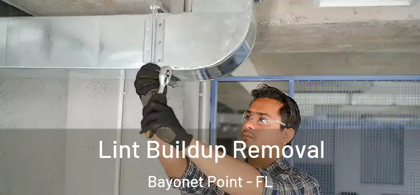 Lint Buildup Removal Bayonet Point - FL