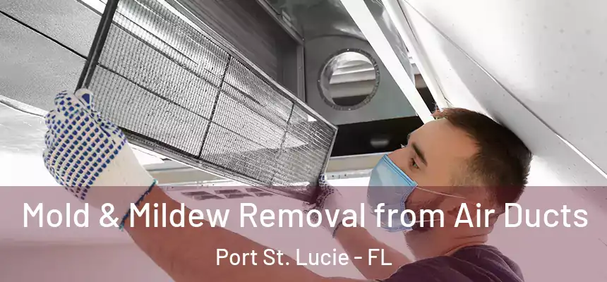  Mold & Mildew Removal from Air Ducts Port St. Lucie - FL