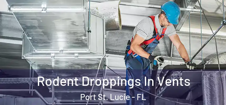 Rodent Droppings In Vents Port St. Lucie - FL