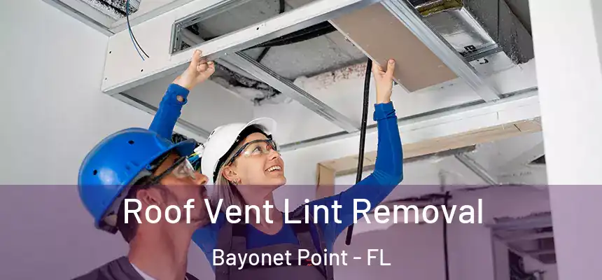 Roof Vent Lint Removal Bayonet Point - FL
