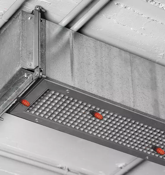 About Air Duct Cockroach Removal in Port St. Lucie, FL