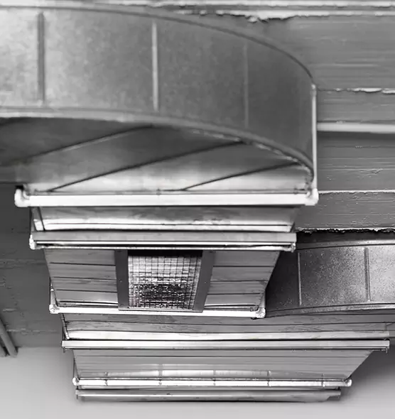 Professional Air Duct Pest Removal in Port St. Lucie, FL