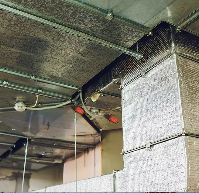 Why Homeowners & Businesses Trust Us in Port St. Lucie, FL?