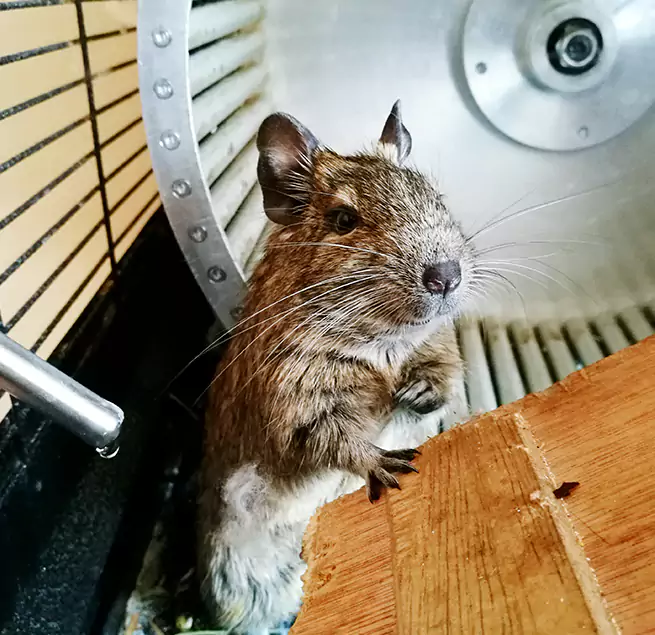 Why Homeowners & Businesses Trust Us Port St. Lucie, FL