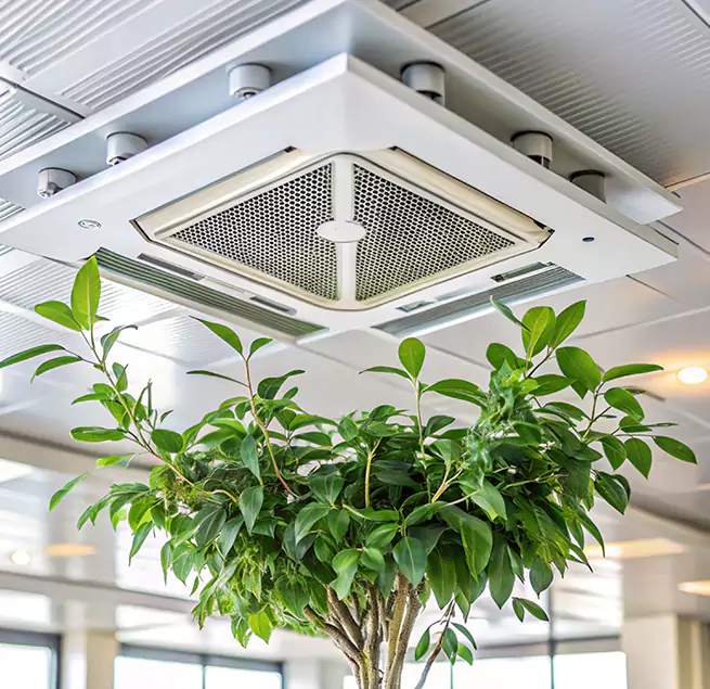 Why Homeowners & Businesses Trust Us in Port St. Lucie, FL?