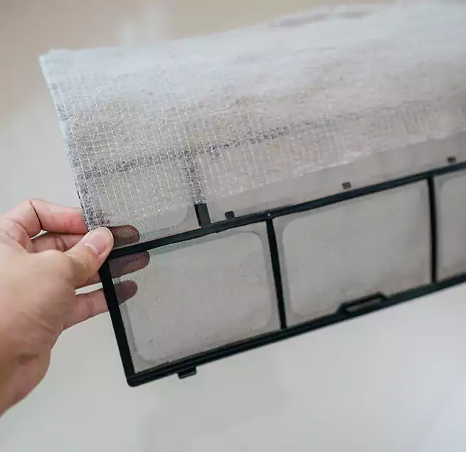 Why Homeowners & Businesses Trust Us in Port St. Lucie, FL?