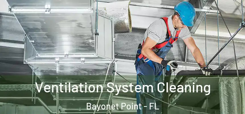Ventilation System Cleaning Bayonet Point - FL