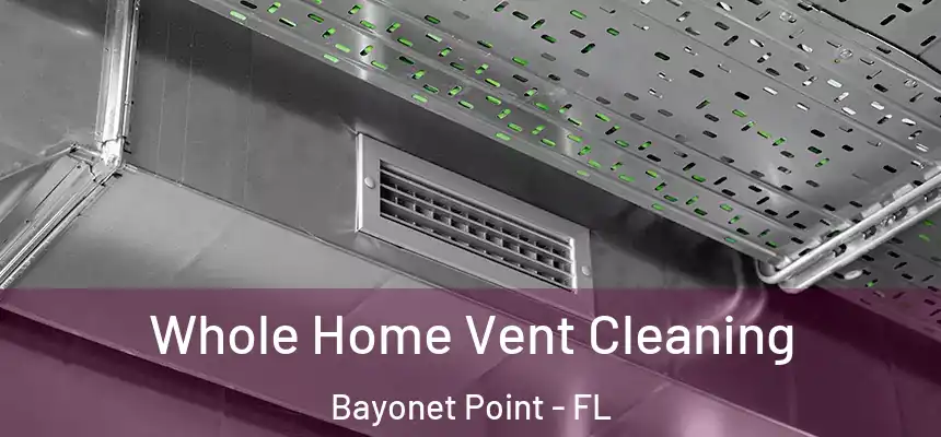 Whole Home Vent Cleaning Bayonet Point - FL